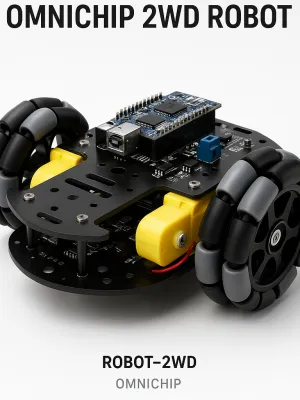 OmniChip 2WD Robot model D3CA72